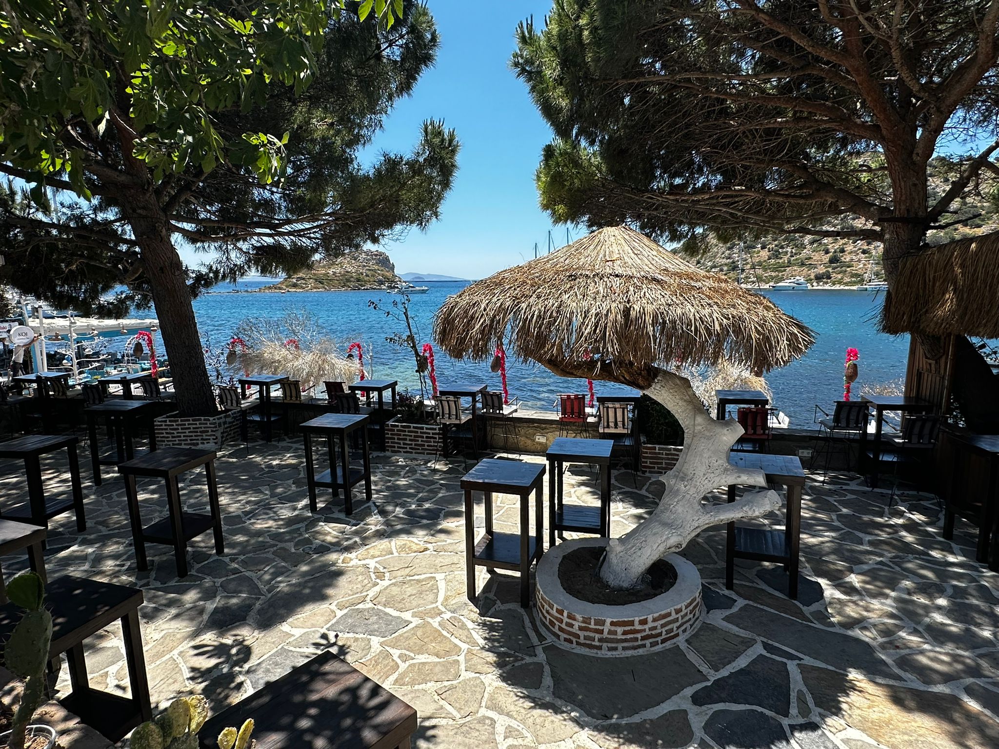 WhatsApp Image 2025-06-02 at 13.32.37 (1)